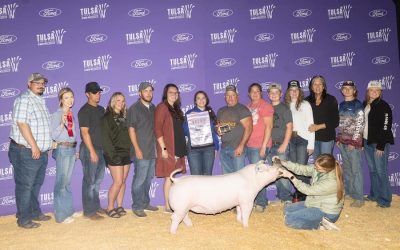 Reserve Champion Chester Gilt – 2023 Tulsa State Fair
