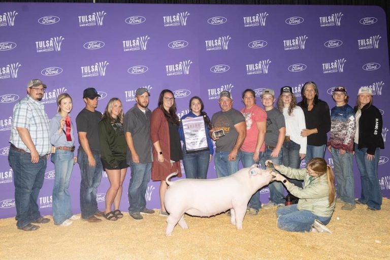 Reserve Champion Chester Gilt – 2023 Tulsa State Fair
