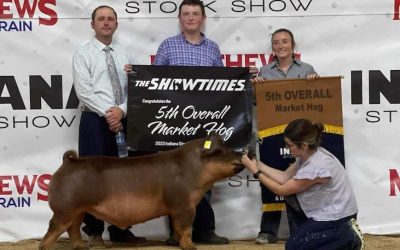 5th Overall Market Hog & Champion Duroc – 2023 Indiana Stock Show