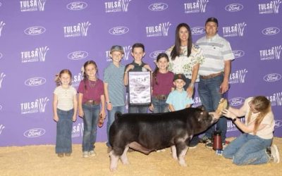 Reserve Champion Poland Barrow – 2023 Tulsa State Fair
