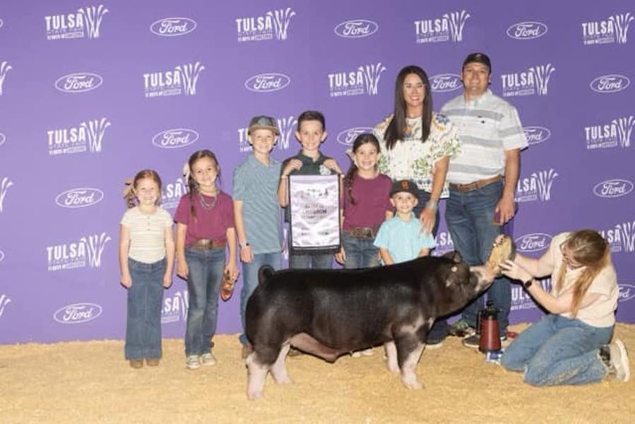 Reserve Champion Poland Barrow – 2023 Tulsa State Fair