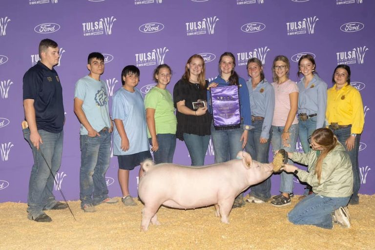 Champion Yorkshire Gilt – 2023 Tulsa State Fair