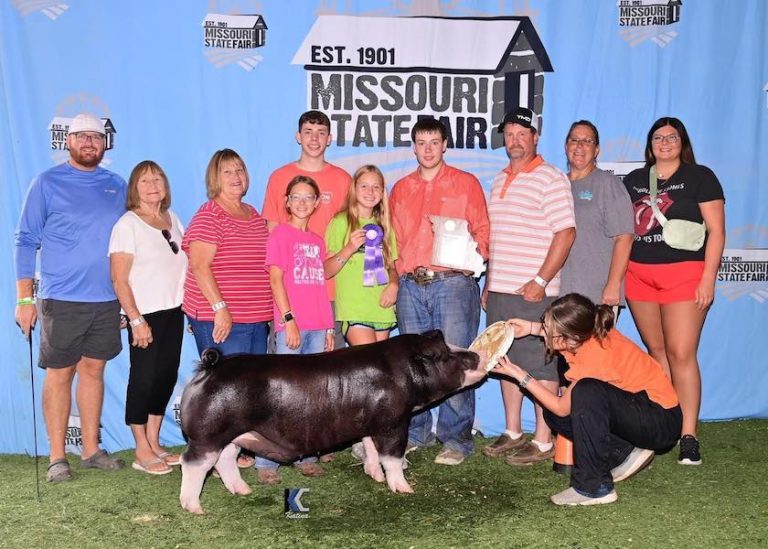 Champion Spot Barrow – 2023 Missouri State Fair FFA Show