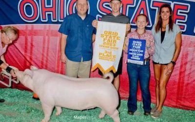 3rd Overall Chester Gilt – 2023 Ohio State Fair Jr Show