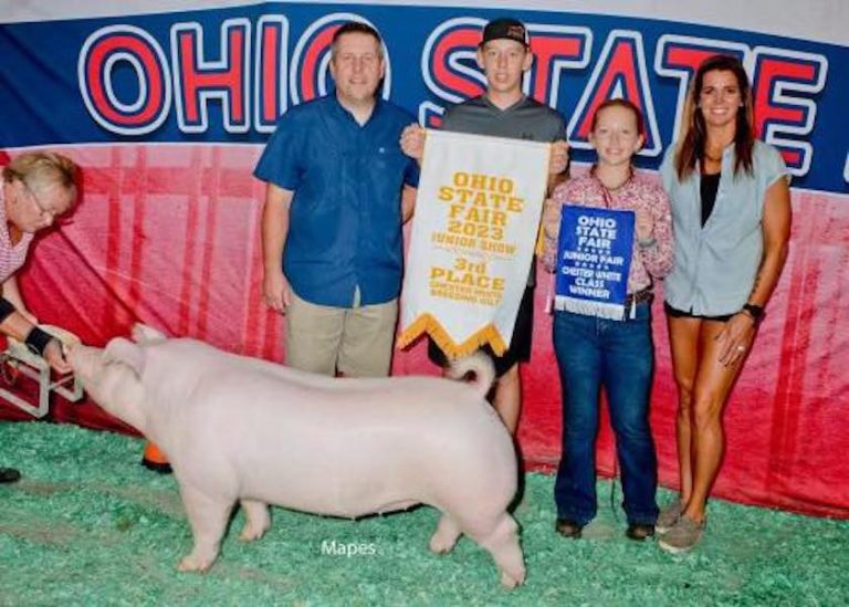 3rd Overall Chester Gilt – 2023 Ohio State Fair Jr Show