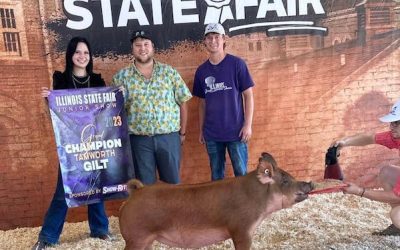 Champion Tamworth Gilt – 2023 Illinois State Fair Jr Show