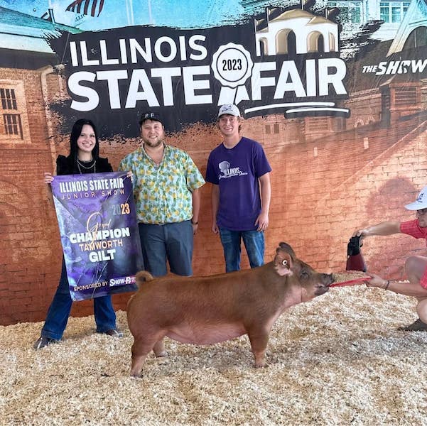 Champion Tamworth Gilt – 2023 Illinois State Fair Jr Show