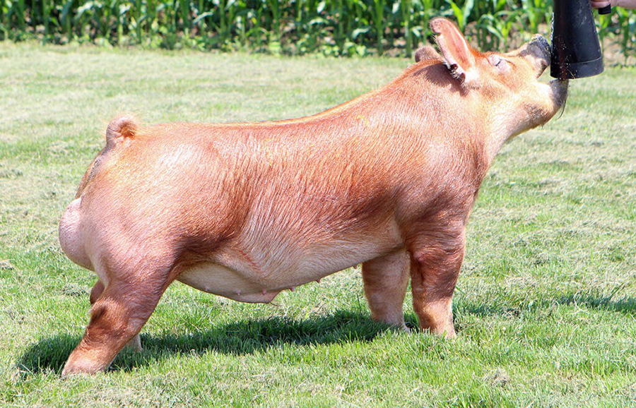 That Much Better That Much Better