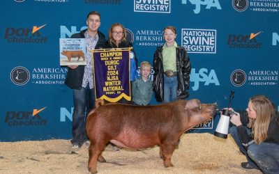 Champion Bred & Owned Duroc Gilt – 2024 NJSA Winter National