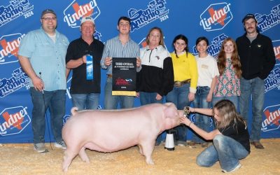 3rd Overall Landrace Gilt – 2024 San Antonio Stock Show