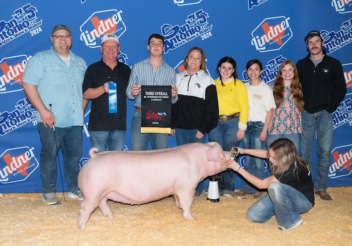 3rd Overall Landrace Gilt – 2024 San Antonio Stock Show