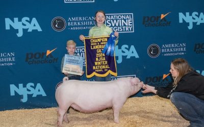 Champion Bred & Owned Landrace Gilt – 2024 NJSA Winter National