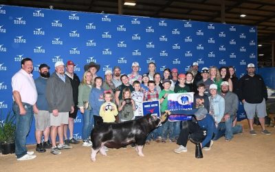 Champion Dark OPB Barrow – 2024 Rodeo Austin