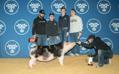 9th Overall Spot Gilt – 2024 OYE