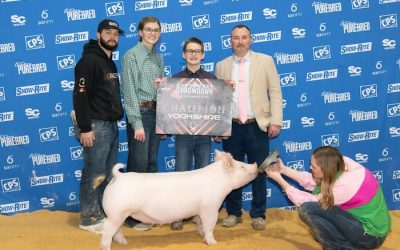 Champion Yorkshire Gilt – 2024 TP Southwest Throwdown