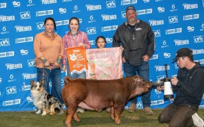 4th Overall NJSA Gilt & Reserve Champion Duroc Gilt – 2024 TP Sweet Peach Regional