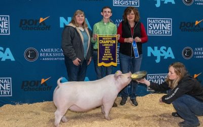 Reserve Champion Landrace Gilt – 2024 NJSA Winter National