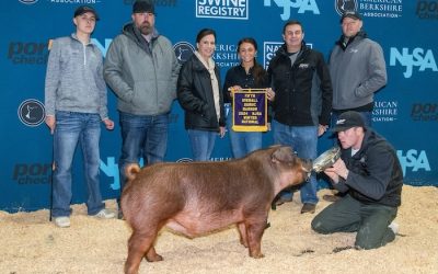 5th Overall Duroc Barrow – 2024 NJSA Winter National