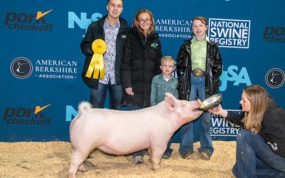 5th Overall Division 1 Yorkshire Gilt – 2024 NJSA Winter National