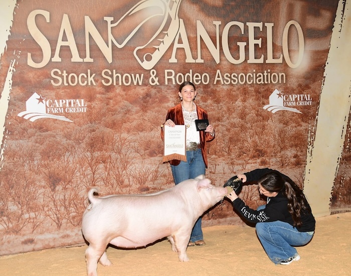 Champion Chester Gilt – 2024 San Angelo Stock Show