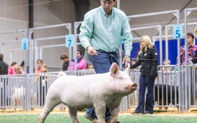 5th Overall Pure Influence Barrow – 2024 NJSA Winter National