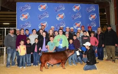 1st Place Duroc Barrow – 2024 San Antonio Stock Show