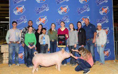 5th Overall Yorkshire Gilt – 2024 San Antonio Stock Show
