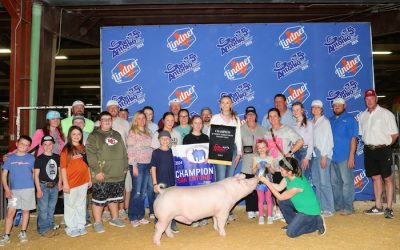 Champion Chester Barrow – 2024 San Antonio Stock Show