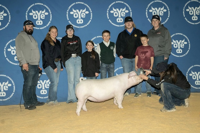 3rd Overall Landrace Gilt – 2024 OYE