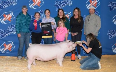 4th Overall Landrace Gilt – 2024 San Antonio Stock Show