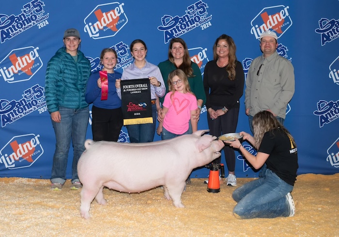 4th Overall Landrace Gilt – 2024 San Antonio Stock Show