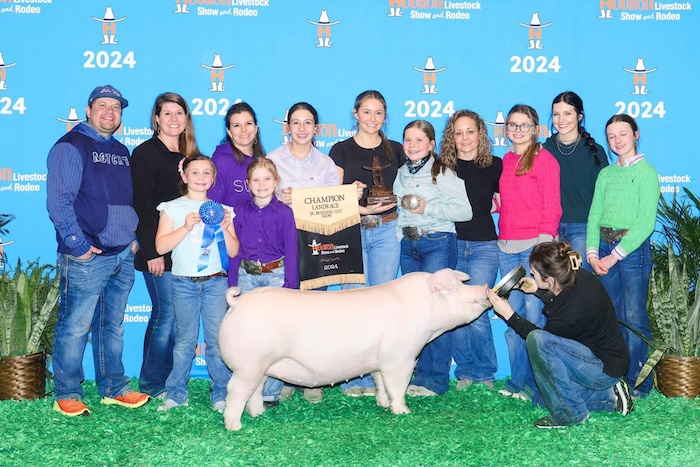 Champion Landrace Gilt – 2024 Houston Livestock Show