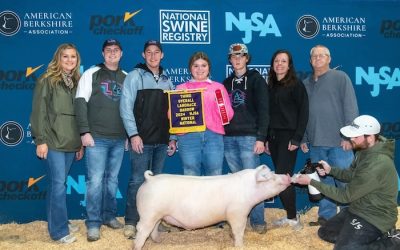 3rd Overall Landrace Barrow – 2024 NJSA Winter National
