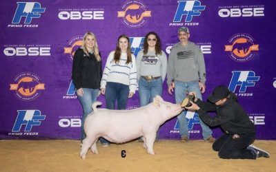 3rd Overall Yorkshire Gilt – 2024 OBSE