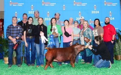 1st Place Duroc Gilt  – 2024 Houston Livestock Show