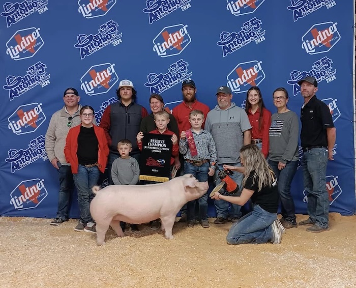 Reserve Champion Landrace Gilt – 2024 San Antonio Stock Show
