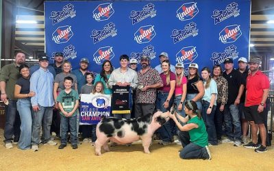 Champion Spot Barrow – 2024 San Antonio Stock Show