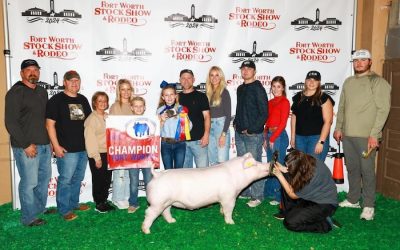 Champion White OPB Barrow – 2024 Fort Worth Stock Show