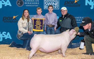 5th Overall Landrace Barrow – 2024 NJSA Winter National