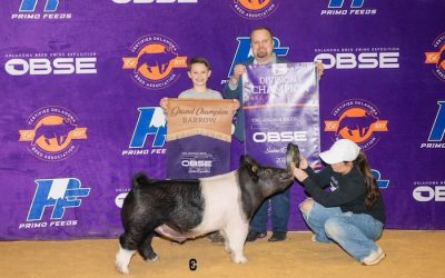 Grand Overall Barrow & Champion Dark Cross – 2024 OBSE