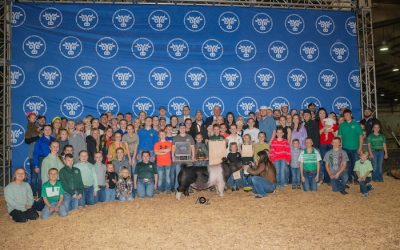 Grand Overall Barrow – 2024 OYE