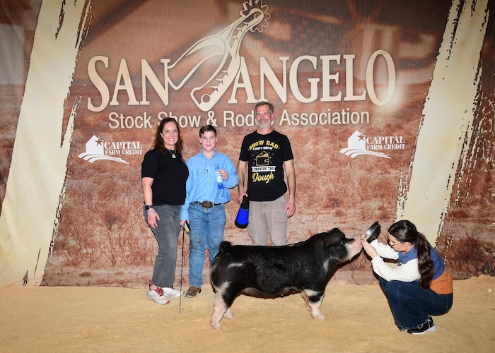 1st Place Spot Gilt  – 2024 San Angelo Stock Show