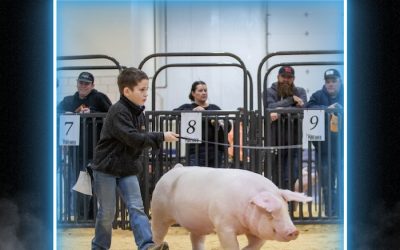 5th Overall NSR Gilt & Champion Landrace – 2024 TP Southwest Throwdown