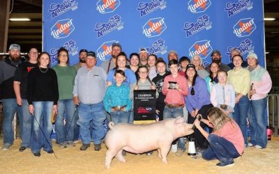 Champion Landrace Gilt – 2024 San Antonio Stock Show