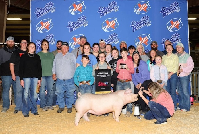Champion Landrace Gilt – 2024 San Antonio Stock Show