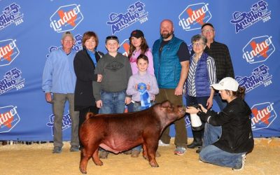 1st Place Duroc Barrow – 2024 San Antonio Stock Show