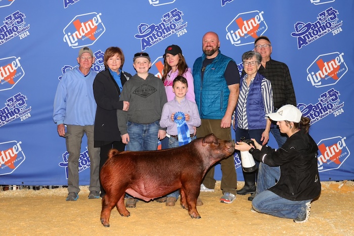 1st Place Duroc Barrow – 2024 San Antonio Stock Show