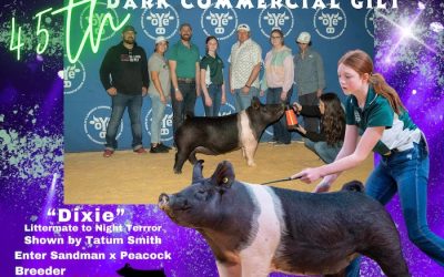 45th Overall Dark Cross Gilt – 2024 OYE