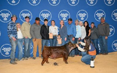 7th Overall Duroc Barrow – 2024 OYE