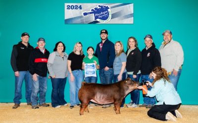 Champion Duroc – 2024 Muskogee Regional